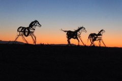IMG_3534