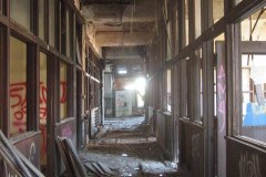 IMG_4509