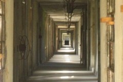 IMG_5043